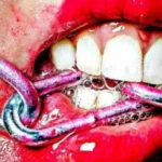 لب سیاه قلم